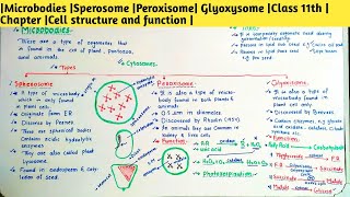 Microbodies Sperosome Peroxisome Glyoxysome Class 11th Chapter Cell structure and function [upl. by Ellesij550]