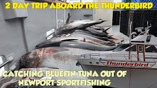 FISHING FOR BLUEFIN TUNA OUT OF NEWPORT BEACH ON THE THUNDERBIRD SPORTFISHING 2 DAY TRIP [upl. by Hallette]