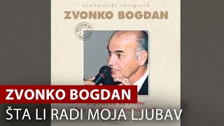 Zvonko Bogdan  Šta Li Radi Moja Ljubav  Vojvodina Music Official [upl. by Ecinev]