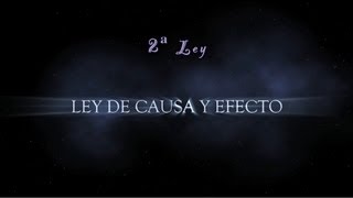 38 LEY DE CAUSA Y EFECTO  Las Leyes Universales [upl. by Etteinotna]