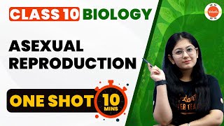 Asexual Reproduction Class 10 One Shot  How Do Organisms Reproduce  CBSE 10th Biology Chapter8 [upl. by Sharos]