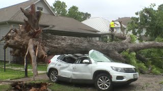 If a neighbor’s tree falls on your fencecarhouse who is responsible Ask Amy [upl. by Atteyek]