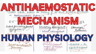 Antihaemostatic mechanism fibrinolysis Telegram httpstmedrshikhasaxenahumanphysio [upl. by Woodrow]