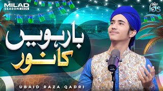 New Rabi Ul Awal Naat 2024  Barwein Ka Noor Dil Pe Chah Gaya  Ubaid Raza Qadri [upl. by Chemesh715]