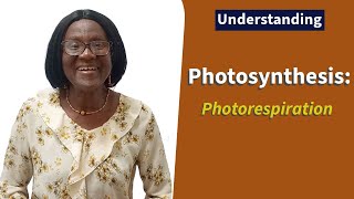 Photosynthesis Photorespiration [upl. by Samau939]