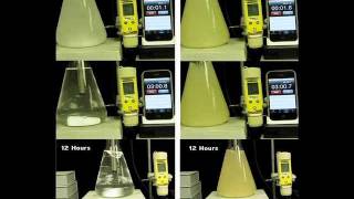 Gypsum vs Calcium Sulfate Anhydrite [upl. by Annaigroeg170]