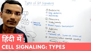 Types of Cell Signalling in Hindi [upl. by Amorette778]