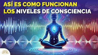 Descubre los Secretos de los Niveles de Conciencia 🧠 [upl. by Tjader71]