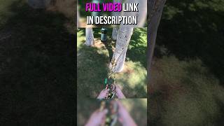 RETRIEVABLE Spar Anchor for MRSDRT for Arborists amp Tree Climbers arborist climbing [upl. by Humberto]