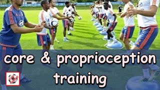 Core and proprioception training programme [upl. by Tarsus63]