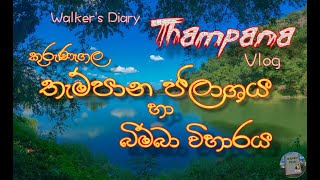 Thampana Lake and Bimba Viharaya තැම්පාන ජලාශය හා බිම්බා විහාරය  Walkers Diary  Vlog 15 [upl. by Nicoli]