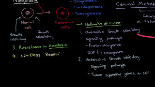 HPVs and Cervical Cancer Part 2 [upl. by Raynard]