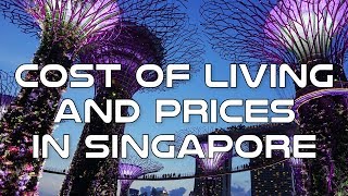 Cost of Living and Prices in Singapore [upl. by Maighdiln]