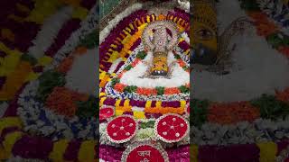 संध्या दर्शन जय श्री श्याम “ shorts shyam [upl. by Eitra]