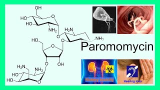 paromomycin [upl. by Sabino707]