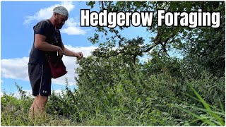 Hedgerow Foraging [upl. by Anilam]