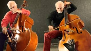 Flight of the BumbleBee for two Double Basses [upl. by Atalaya]