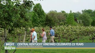 Equus Run Vineyards in Midway celebrates 23 years [upl. by Lynna]