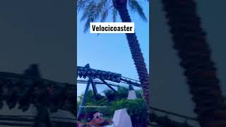 Would you ride this 😱 Velocicoaster at Universal Islands of Adventure [upl. by Llertnad827]