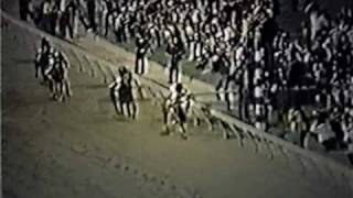 SECRETARIAT  1973 Preakness Stakes Alternate Footage [upl. by Esimehc411]