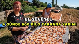 4 GÃœNDE 600 KÄ°LO TARHANA YAPIMI  EL GÃœCÃœYLE BOL MALZEMELÄ° EGE USULÃœ ENFES TARHANAMIZ ÅÄ°FA DAÄITACAK [upl. by Richardson89]