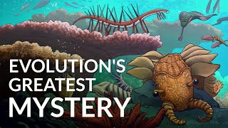 What Caused The Cambrian Explosion [upl. by Mayworm]