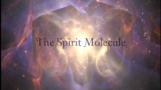 DMT The Spirit Molecule Teaser [upl. by Threlkeld806]