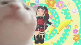 cat vibing to draca dancing bananas for 1 hour straight krew itsfunneh memes [upl. by Ellon]