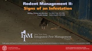 Rodent Management II Signs of a Rodent Infestation [upl. by Ruffin309]