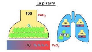 Formas de medir la oxigenación Parte 2 PaFi y gradiente alveolo  arterial 🤓 [upl. by Juanita]