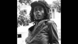 Bob Marley and the Wailers  Buffalo Soldier Dub [upl. by Evelc]