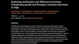 Similarities and differences between Toxoplasma gondii and Neospora caninum infections in dogs [upl. by Past431]