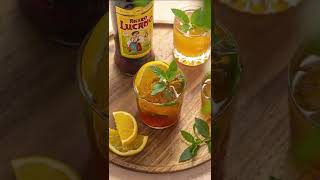 Amaro Lucano Amaro Mint amp Ginger Fizz Cocktail Recipe [upl. by Lezley]