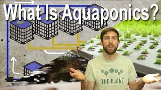 What Is Aquaponics  Plant Chicago NFP Explains [upl. by Flemming]