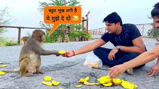 जानवर भी बोलते हैं समझने वाला चाहिए Sumit Cool Dubey [upl. by Lynett]