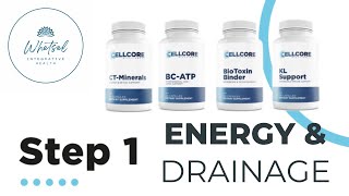 CellCore Step 1 Energy amp Drainage [upl. by Earased393]