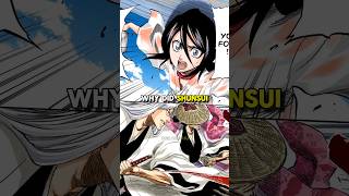 Why Did Shunsui amp Ukitake Save Rukia bleach bleachanime anime [upl. by Celle]