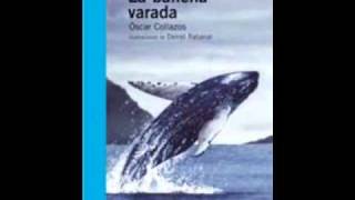 La ballena varada [upl. by Yffub]