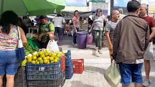 FEIRA LIVRE EM CARNAUBAL CEARÁ DIA 190724 [upl. by Marlette]