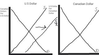 The Exchange Rate and the AppreciationDepreciation of Currency [upl. by Micheline]