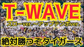 【絶対勝つぞタイガース】 『TWEVE』 スローver〜アップテンポver 阪神タイガース チャンステーマ [upl. by Raama]