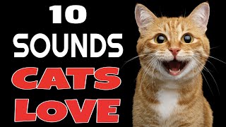 10 Sounds Cats Love To Hear The Most [upl. by Adiela]