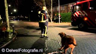 25112012 Hond schiet brandweer Harderwijk te hulp bij stormschade [upl. by Ave]