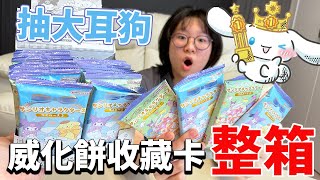 【開箱】為了抽中大耳狗 買了整箱三麗鷗威化餅卡牌盲袋 我們抽中了嗎 咕卡 盲盒 盲袋NyoNyoTV妞妞TV [upl. by Attoynek552]