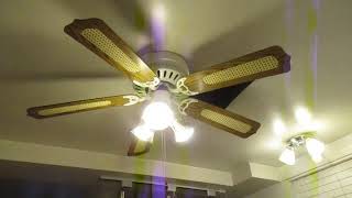 the ceiling fans in my grandmas house running on all speeds [upl. by Eidod368]