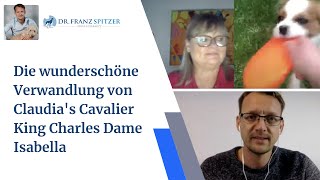 Die wunderschöne Verwandlung von Claudias Cavalier King Charles Dame Isabella [upl. by Idorb]