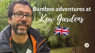 Bamboo adventures at Kew Botanical Gardens London [upl. by Llehcear]