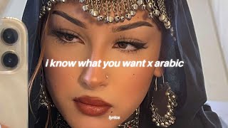 i know what you want x arabic ريمكس  شيرين  صبرى قليل tiktok song [upl. by Minardi]