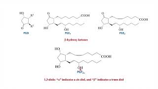 Prostaglandin biosynthesis of prostaglandins Lipid part 2 [upl. by Annoved]