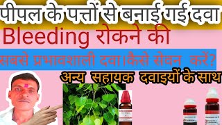 Ficus religiosa Homeopathic medicine uses।stop bleeding instantly with other helping Medicines।new [upl. by Idalla]